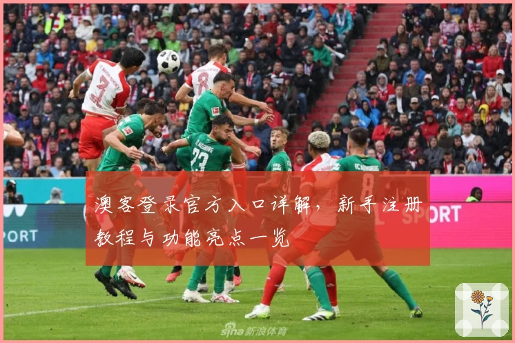 澳客登录官方入口详解，新手注册教程与功能亮点一览